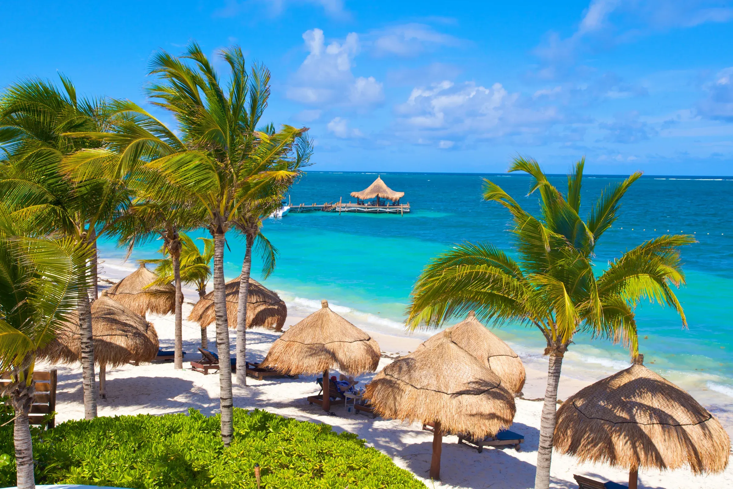 Palm-lined beach at Desire Riviera Maya Pearl Resort